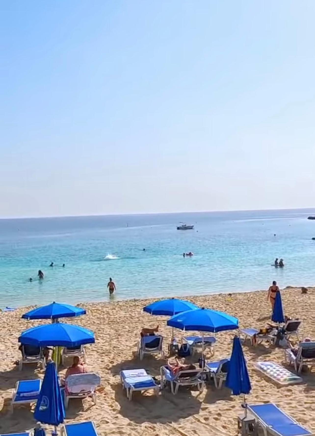 Nissi Elena -Sunshine Apt Agia Napa Buitenkant foto